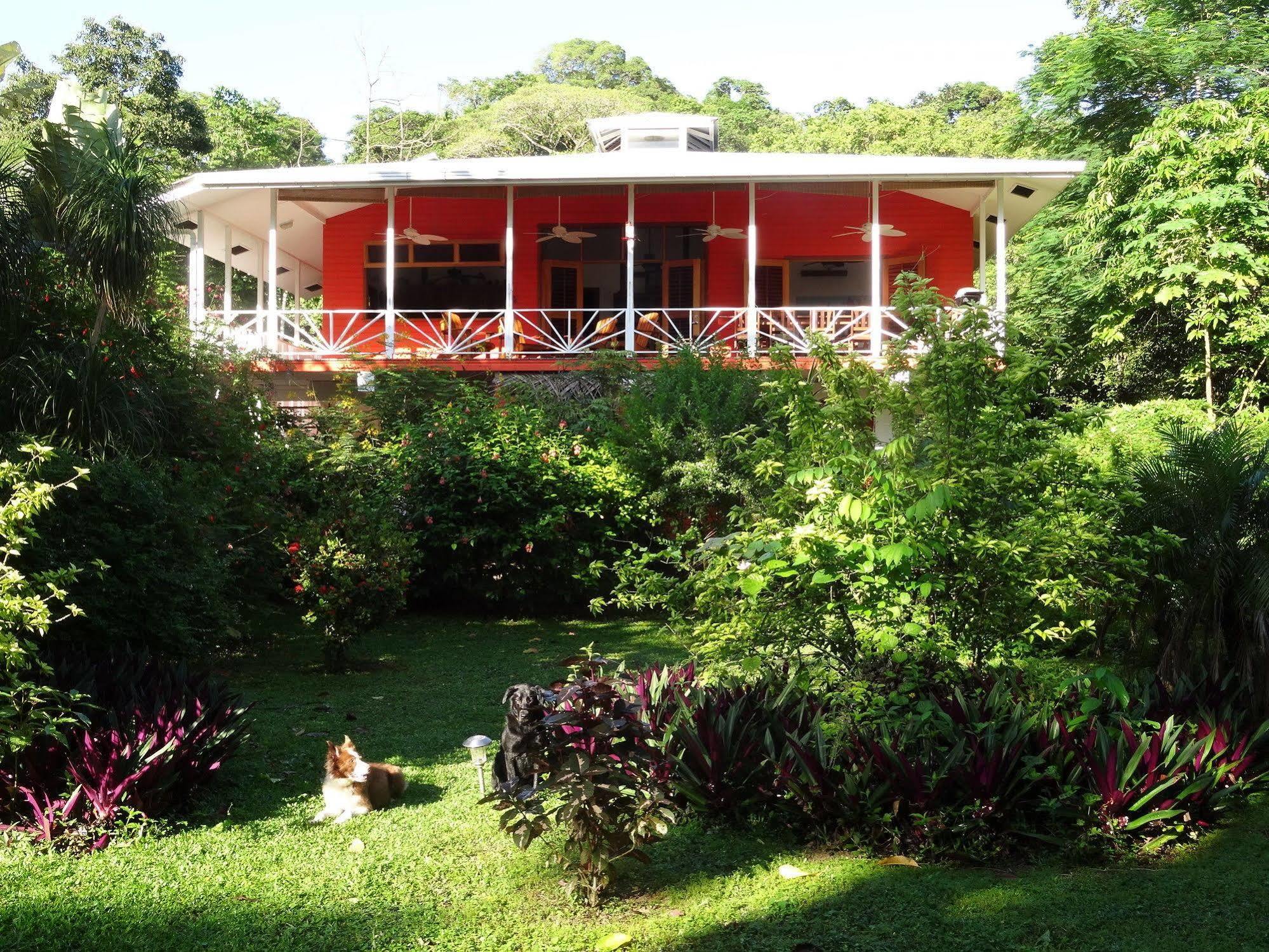 Turtle Beach House Bocas del Toro Exterior photo